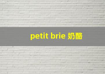 petit brie 奶酪